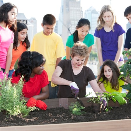 Go green urban rooftop garden planted by ethnically diverse children picture id157638144